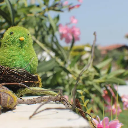 Lapis Port Surf Alojamento de Acomodação e Pequeno-almoço 2*