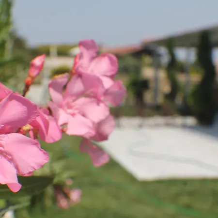 Alojamento de Acomodação e Pequeno-almoço Lapis Port Surf 2*