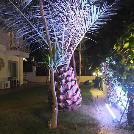 Alojamento de Acomodação e Pequeno-almoço Lapis Port Surf Alacati